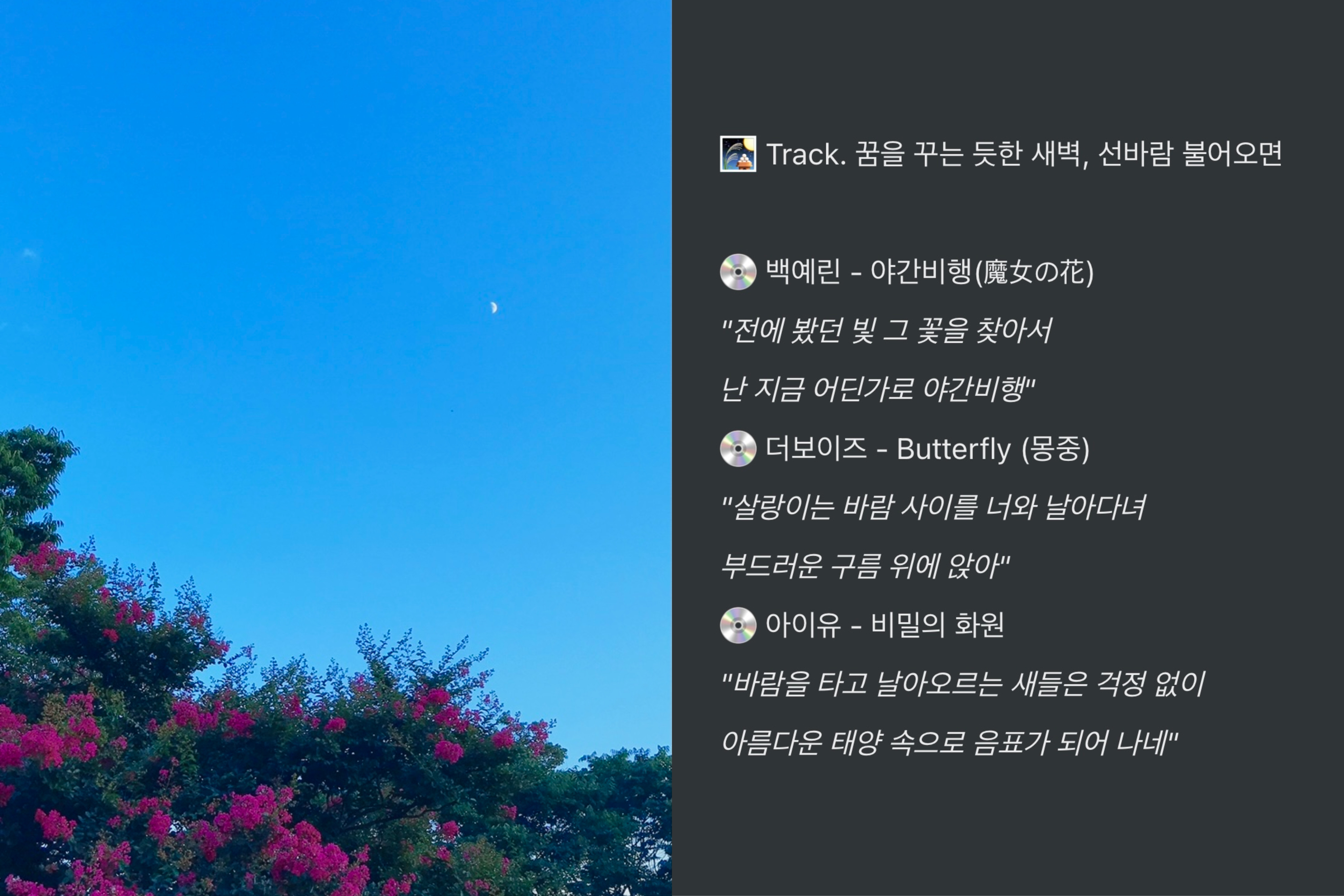 🎑 Track. 꿈을 꾸는 듯한 새벽, 선바람 불어오면