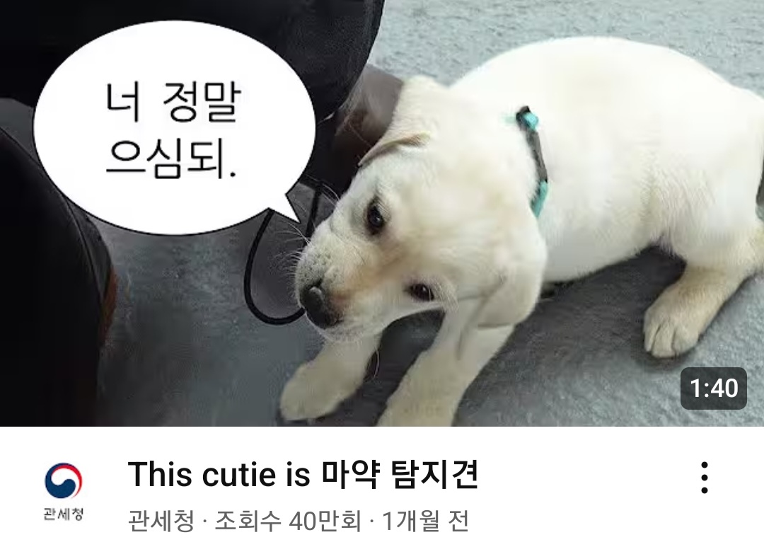 이미지 출처: 관세청 유튜브