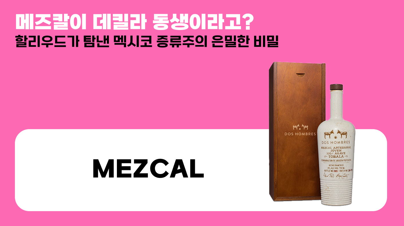 메즈칼이 데킬라 동생이라고?의 썸네일 이미지