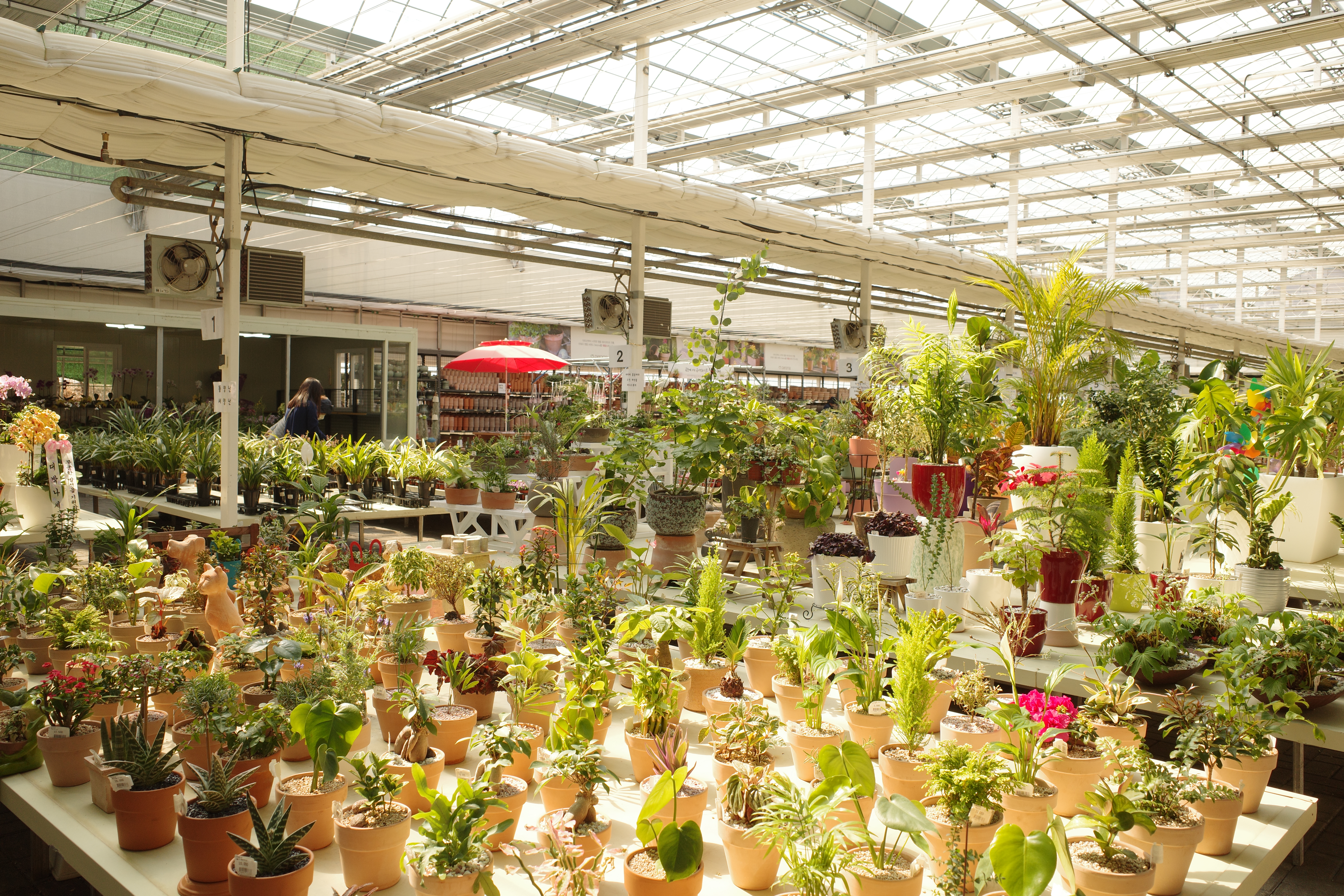 식물이 원하는 온도와 습도를 경험하기