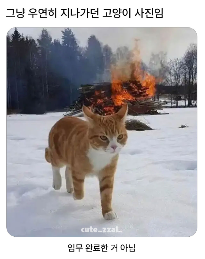 MBTI에서 ADHD까지의 썸네일 이미지