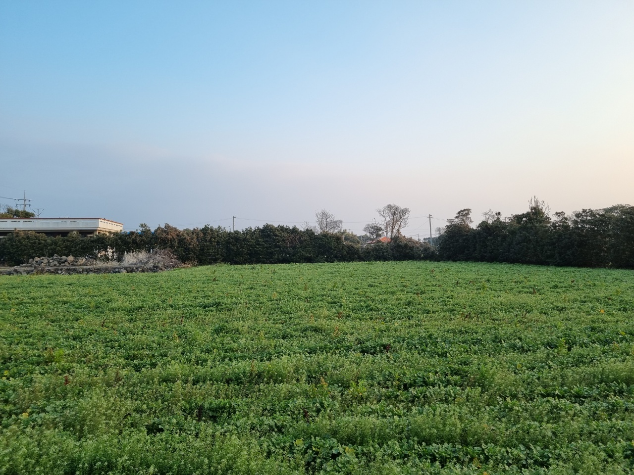 오늘의 제주 풍경