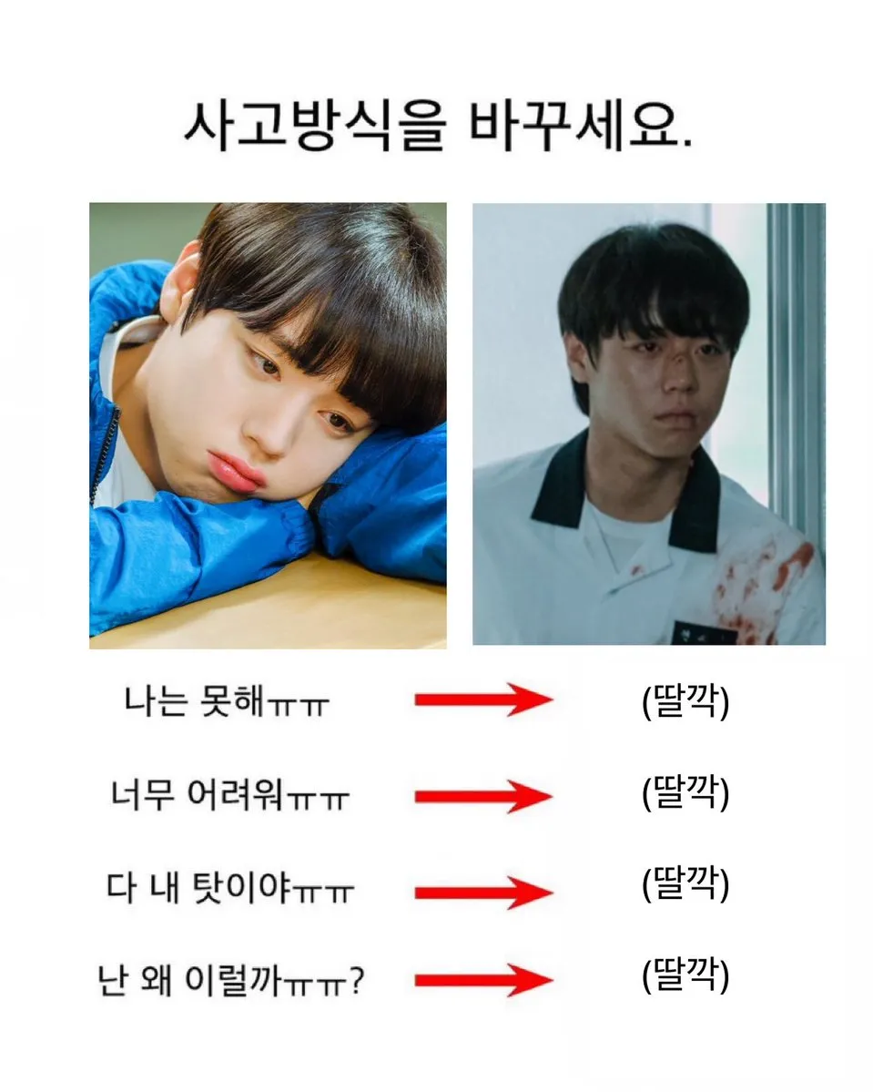 이미지 = X 캡처 (https://x.com/529_9999/status/1948330688765133232)