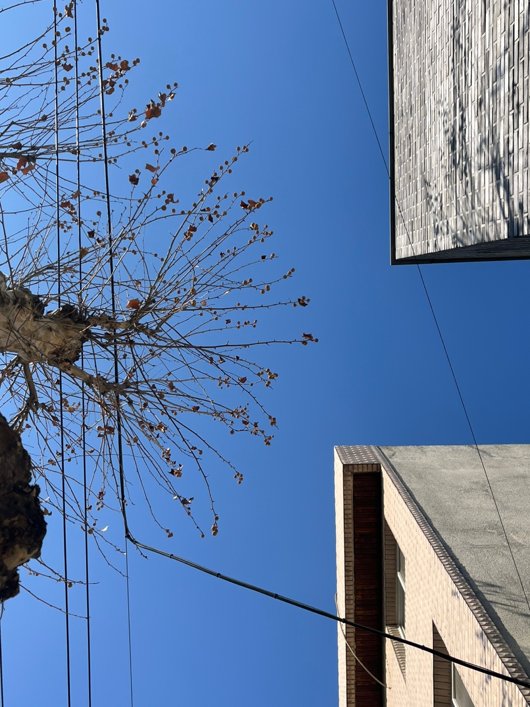 오늘의 하늘!&nbsp;