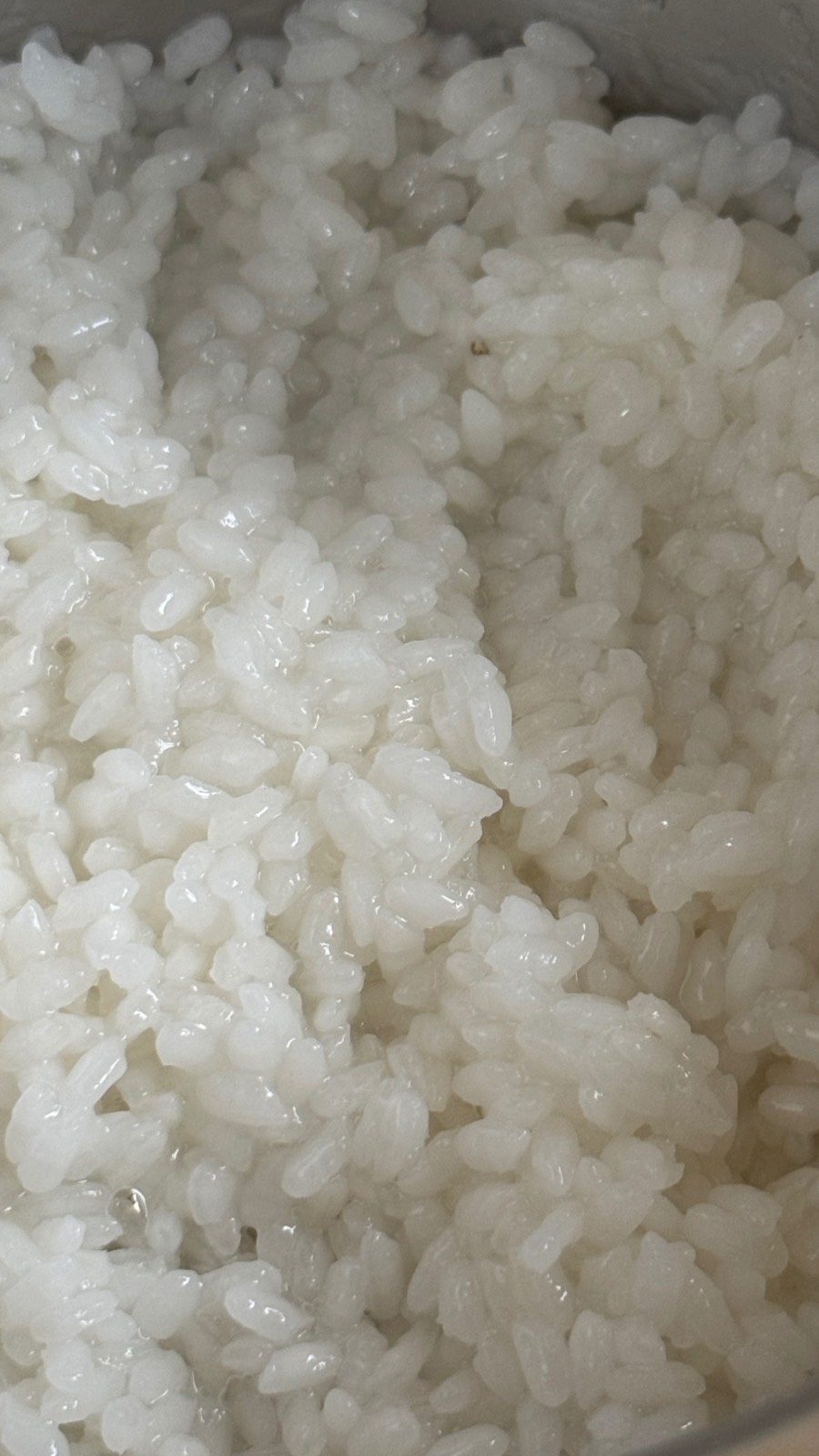 마감과 냄비밥의 썸네일 이미지