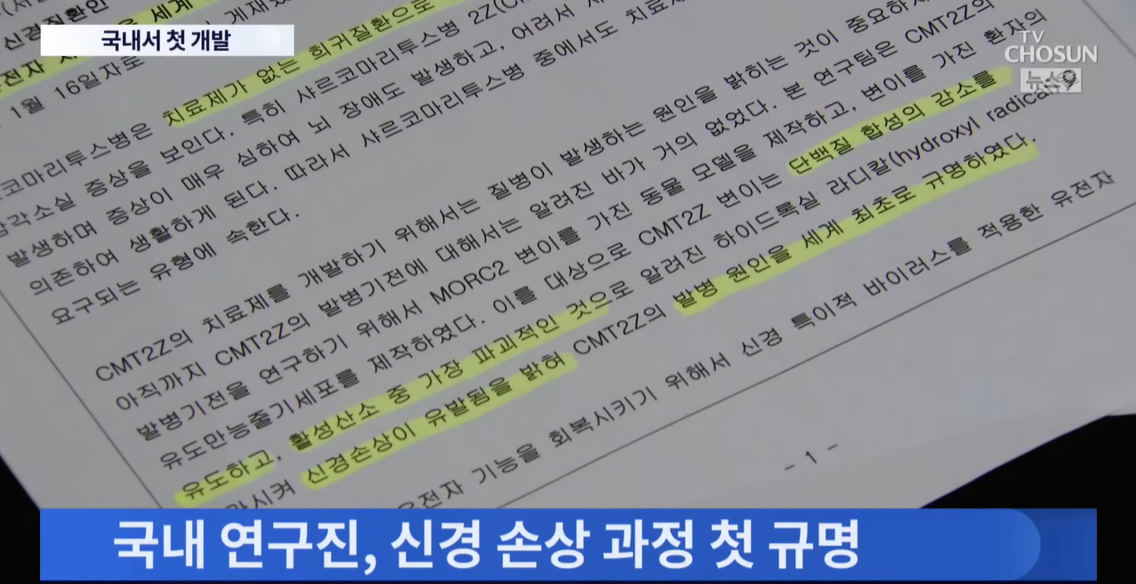출처: TV 조선 뉴스