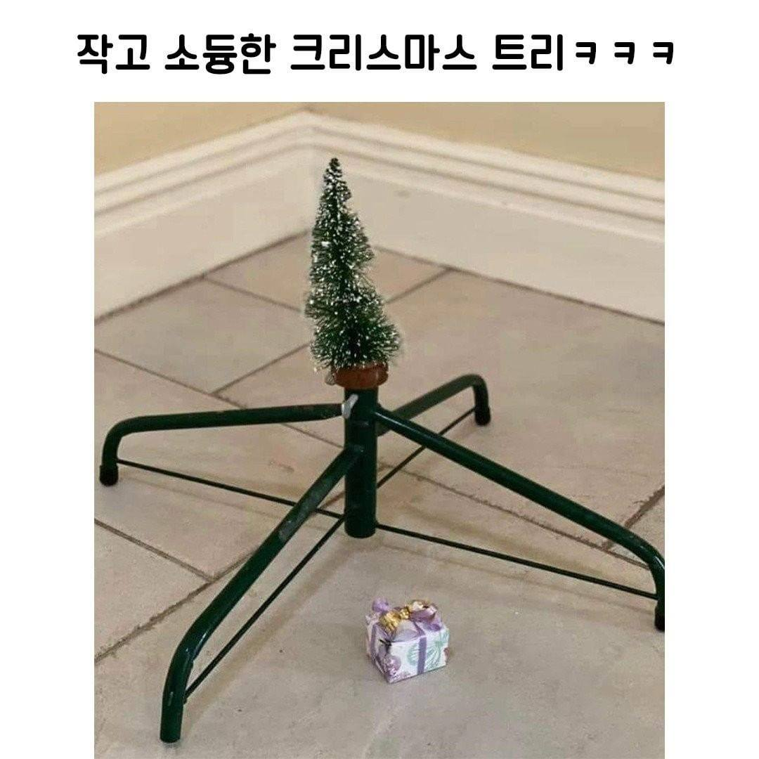 이미지 = 페이스북 캡쳐 (https://www.facebook.com/1487167958269712/photos/a.1487170801602761/2841313912855103/?type=3)