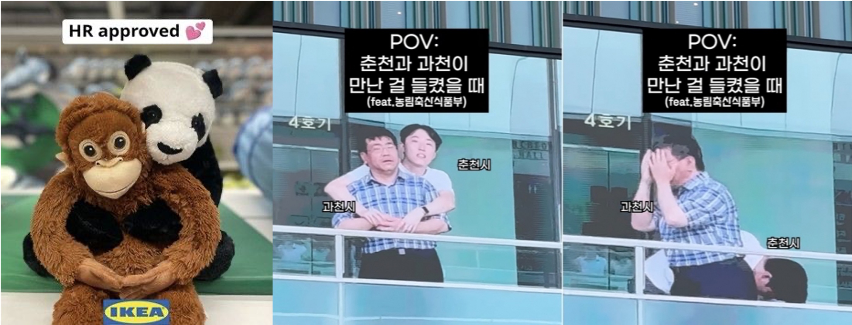 출처: 이케아 인스타그램, 춘천시 유튜브 채널 캡처