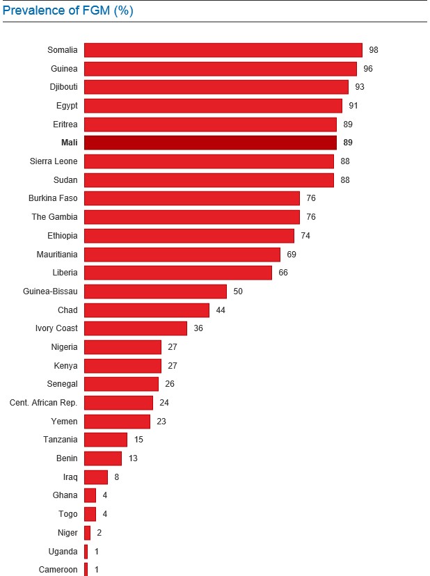 각 나라의 할례 발생률 (출처: UNICEF)