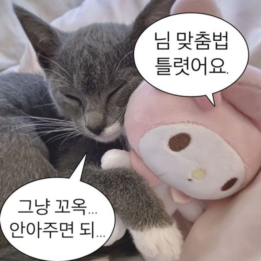 이미지 = 핀터레스트 캡처 (https://pin.it/3DMLSEu7B)