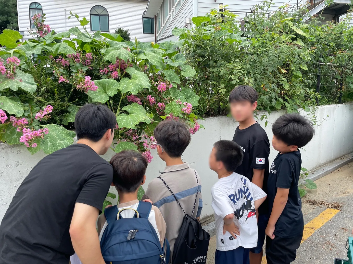 🌳그린로그 두번째 뉴스레터 ✉️의 썸네일 이미지