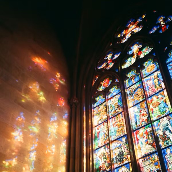 출처: Unsplash