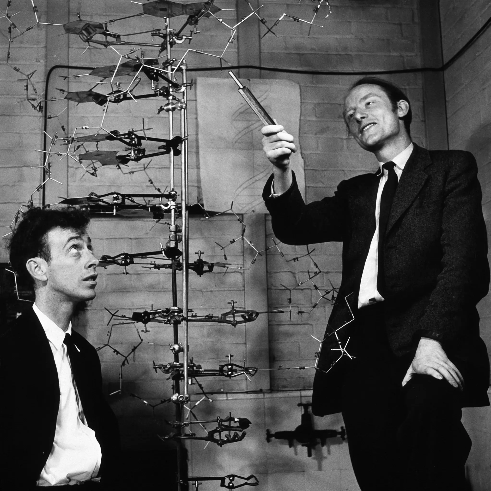 <i><b>Figure.4</b></i> 왓슨과 크릭이 밝힌 DNA 이중나선 구조 ⓒnytimes.com