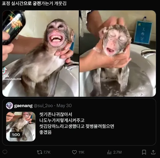 이미지 = X캡처(https://x.com/killdarl/status/1928726390012260803)