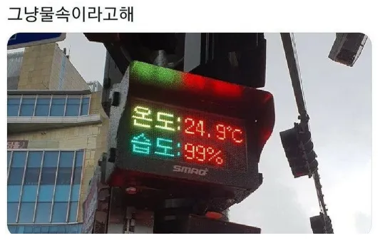 이미지 = 네이버 블로그 캡처 (https://blog.naver.com/helo8986/222791504109)