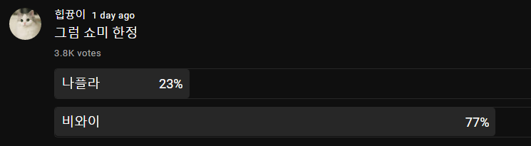 비와이는 군대로 ㅠ