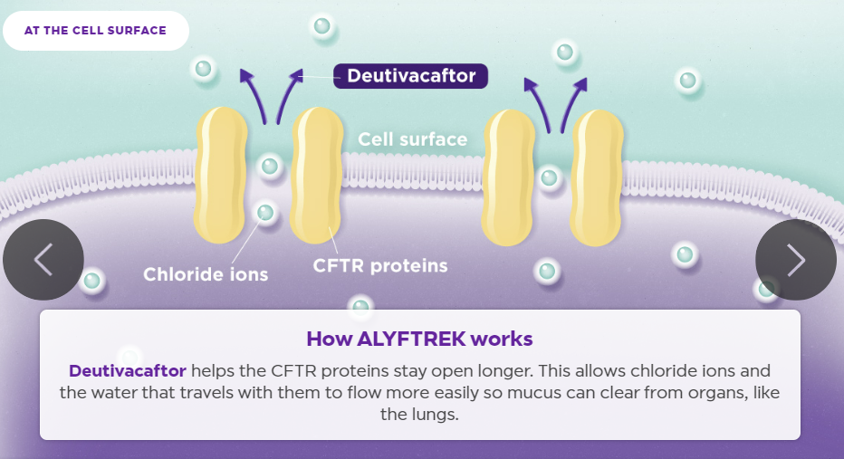 출처: Alyftrek 홈페이지
