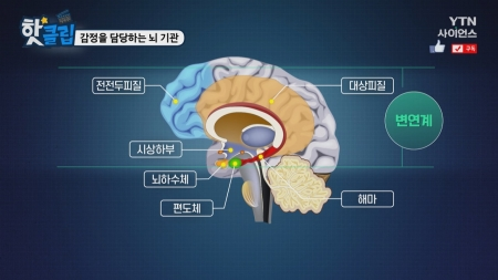 출처 : Youtube YTN 사이언스