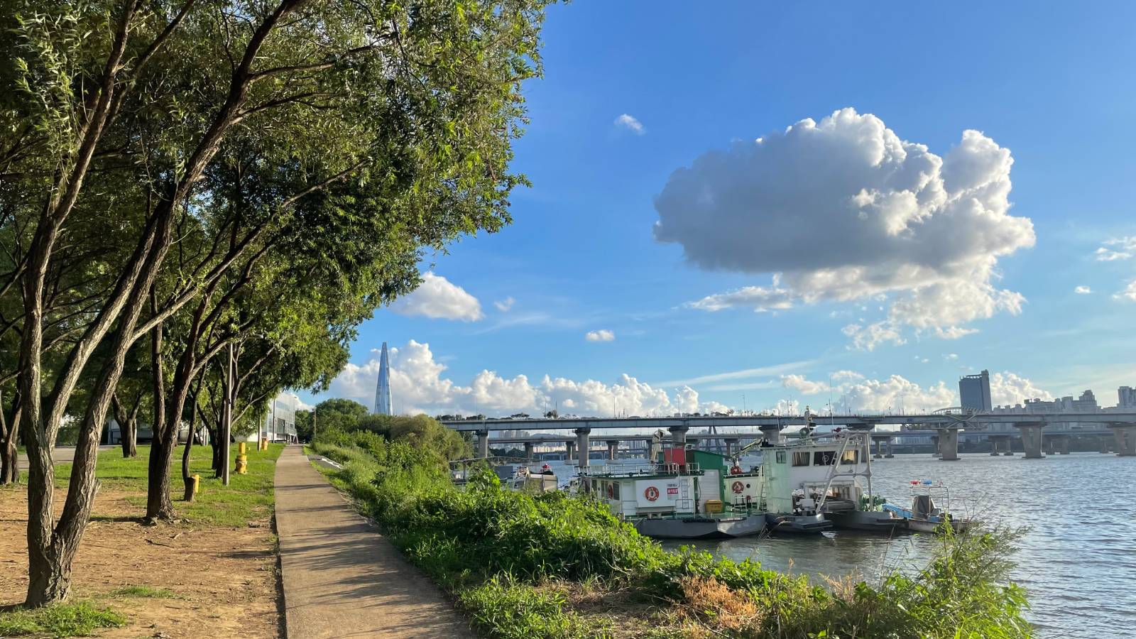 🦋 2시간 도망 퇴근, 낭만 붙들고 한강으로 핸들 꺾었습니다의 썸네일 이미지