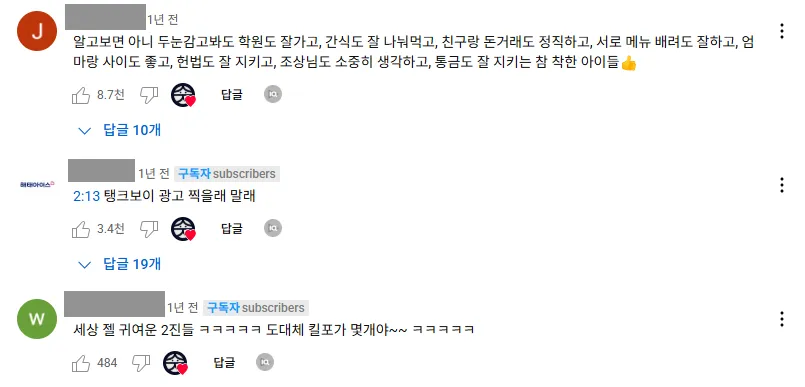 이미지 = 유튜브 댓글 캡처 (https://www.youtube.com/watch?v=MtiHSv1iwXs&list=PLVQ788SqBYum8G9U_U5YCL2kGrm6M3LiM&index=5)