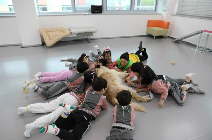 출처 : 순천시 (반려동물 교감캠프 수업)