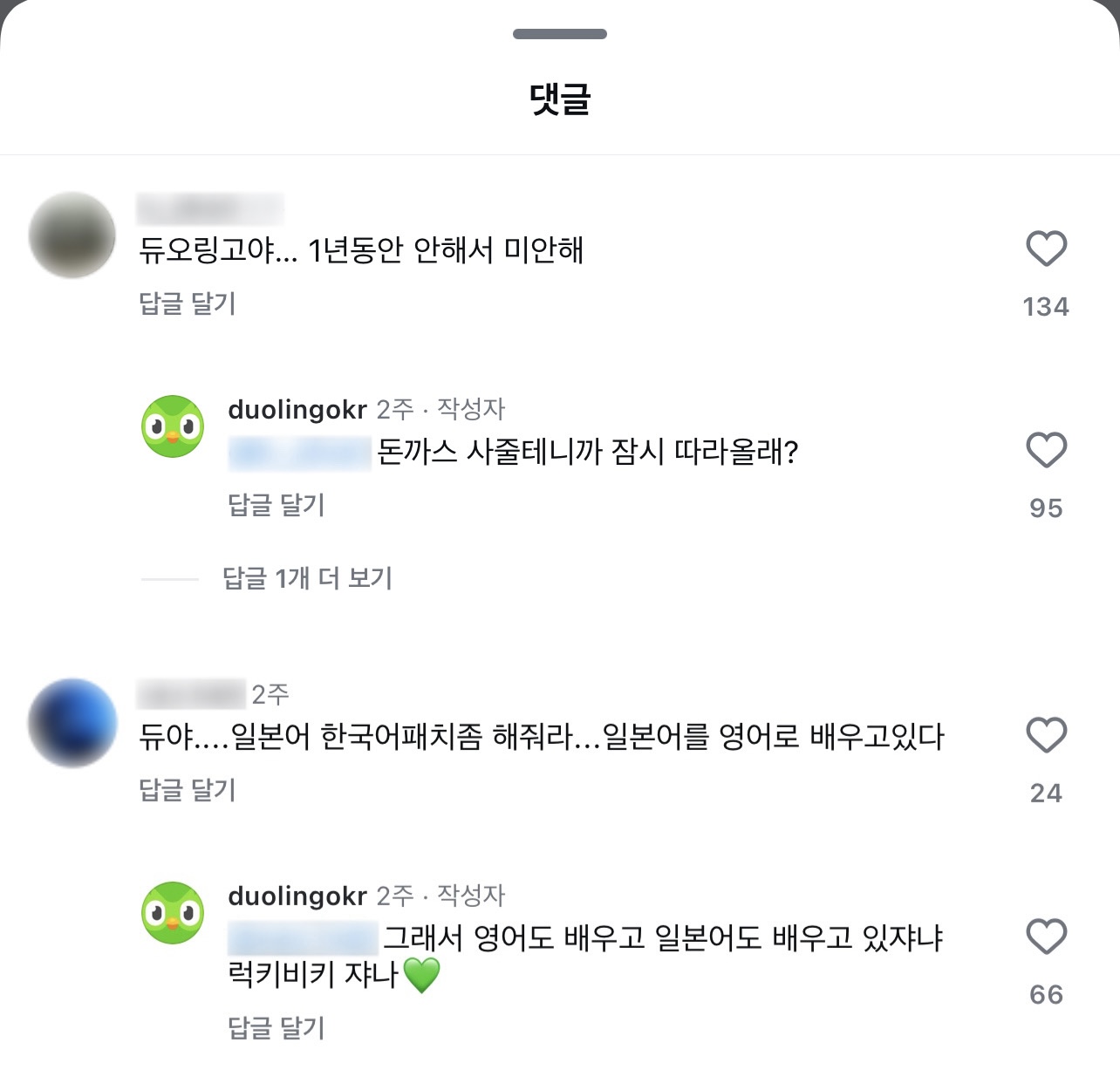 출처: 인스타그램 @duolingokr 댓글 캡쳐