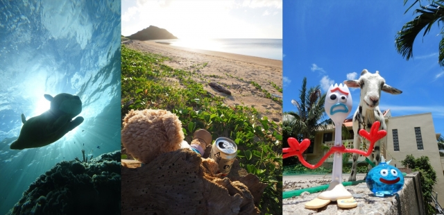 비슷한 투어를 진행했던 일본 오키나와의 한 여행사(2993tours) 