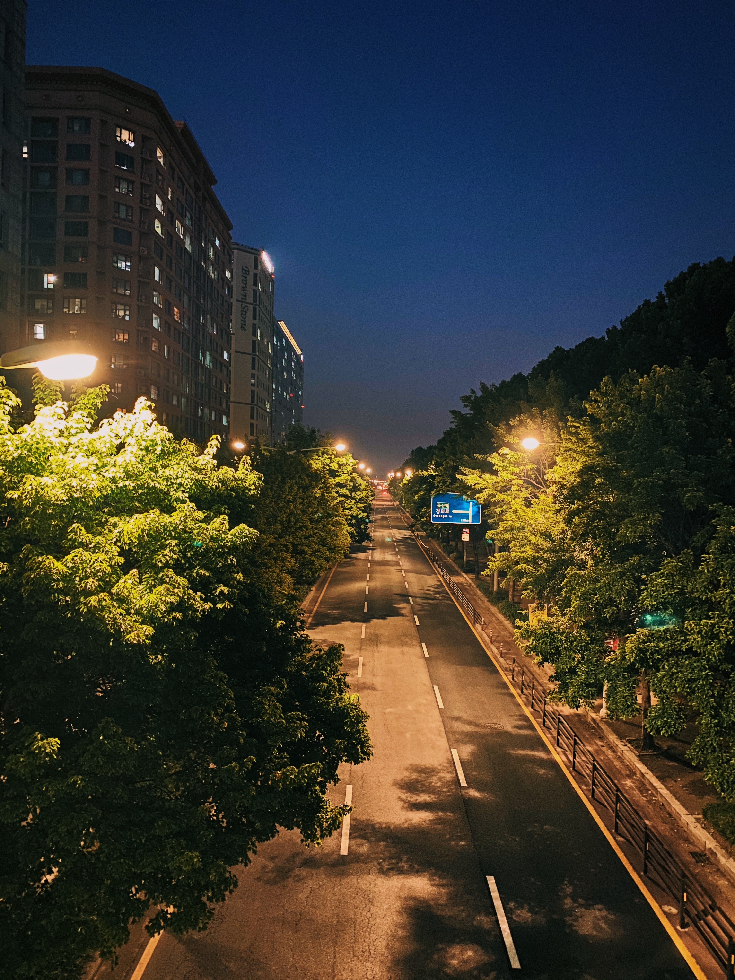 생각을 정리할 때 자주 걷는 집 근처 공원 거리에서
