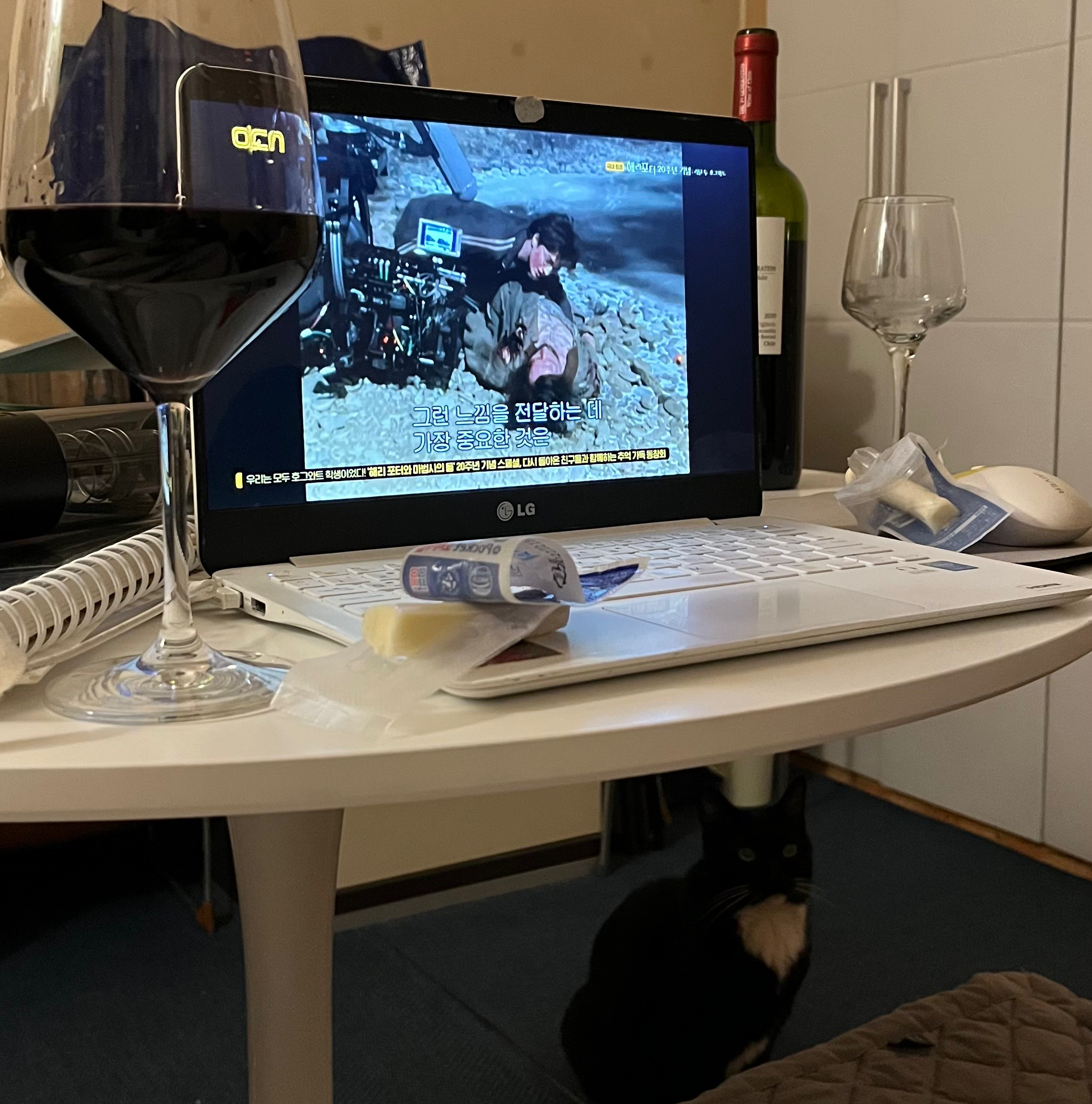 와인과 함께 한 해리포터