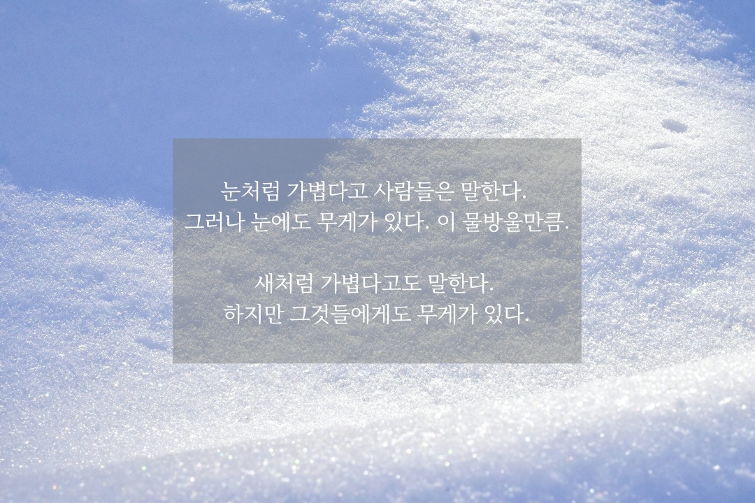 리뷰: 작별하지 않는 태도, 애도의 힘의 썸네일 이미지