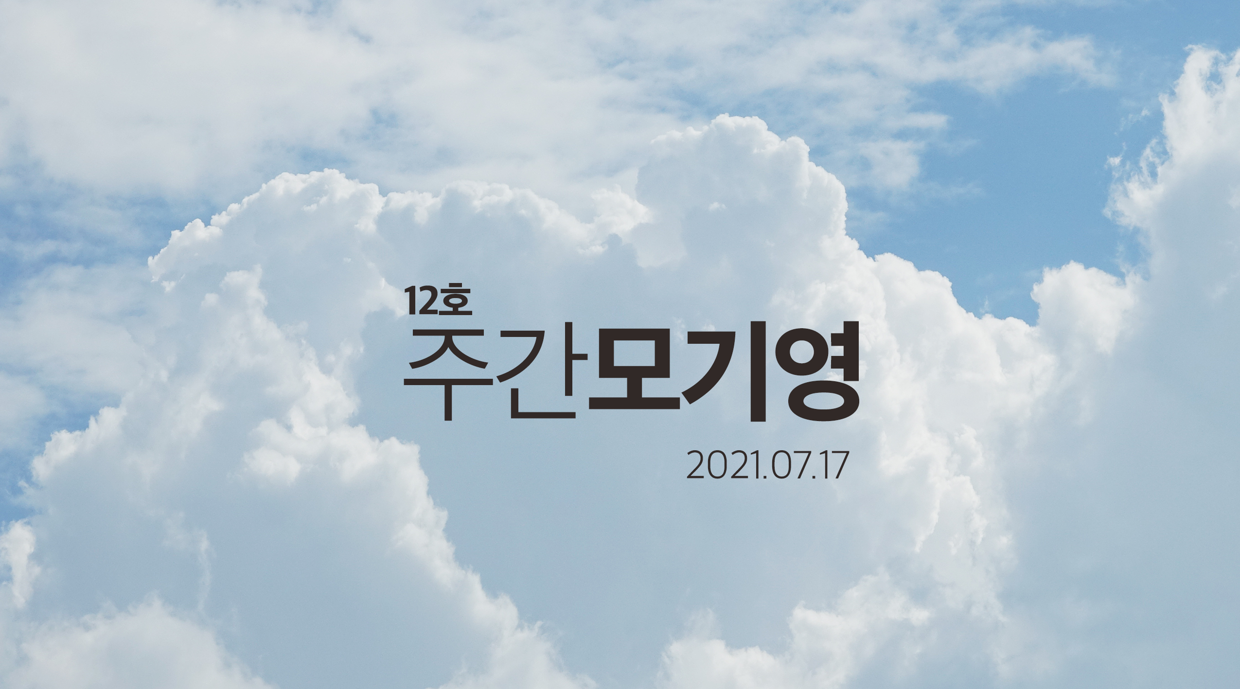 12호 주간모기영