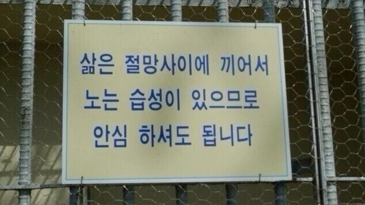 다른 사람이 보기에 제 상황이 그렇게 절망스러운 상황은 아닐지 모르겠지만 어쨌건 몸이 아프다는 건 유쾌한 일은 아니더라고요. 수술을 들어가기까지 이것저것 해결해둘 일도 많이 있고요.&nbsp; 하지만 그런 무거운 사건들 사이에도 삶은 계속되고 또 종종 즐거운 일들이 일어나니까요. 저는 우선 건강해진 뒤에 그 즐거운 이벤트들을 기다리며 지내보려고 합니다. 돌아올 때까지 여러분도 모두 건강하세요!