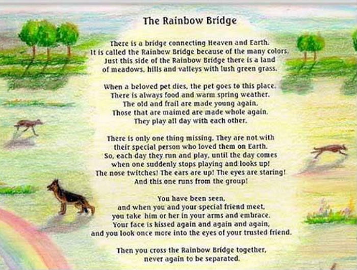 The Rainbow Bridge