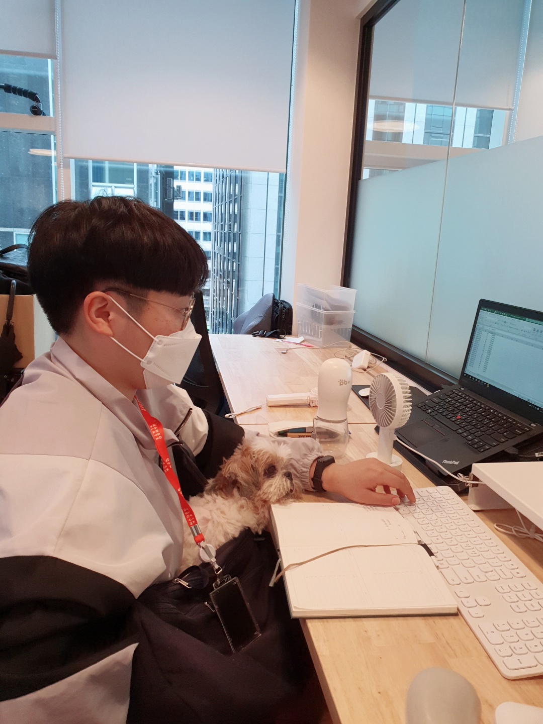 강아지와 함께 일하는 풍경.jpg (feat.위워크)