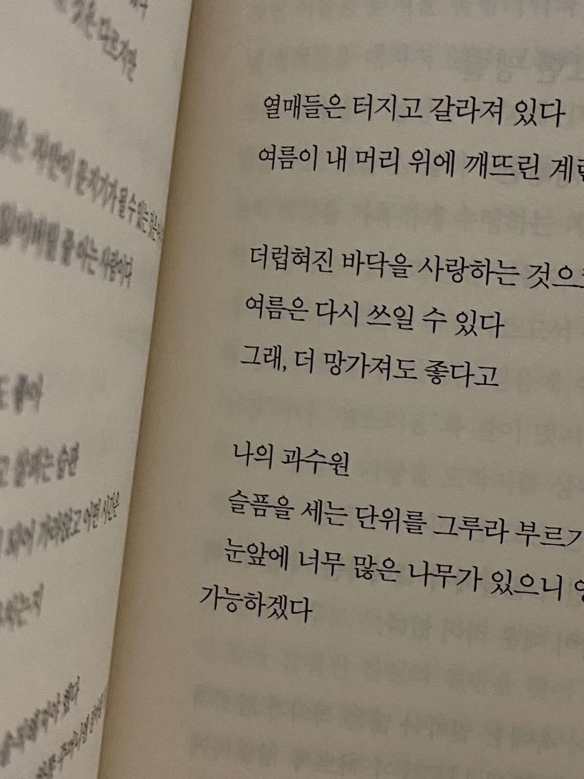더럽혀진 바닥을 사랑하는 것으로 / 여름은 다시 쓰일 수 있다 / 그래, 더 망가져도 좋다고