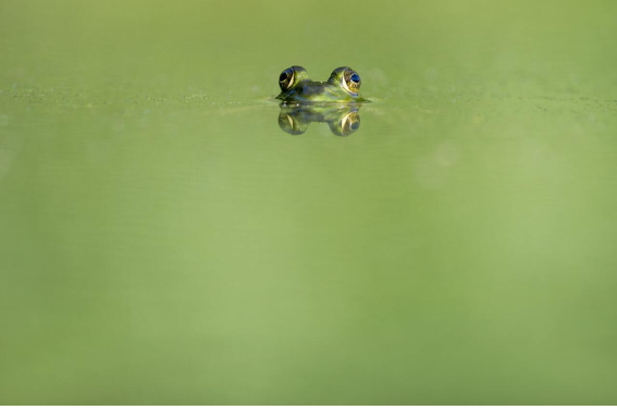 우와 신세계네 @Ray Hennessy, Unsplash
