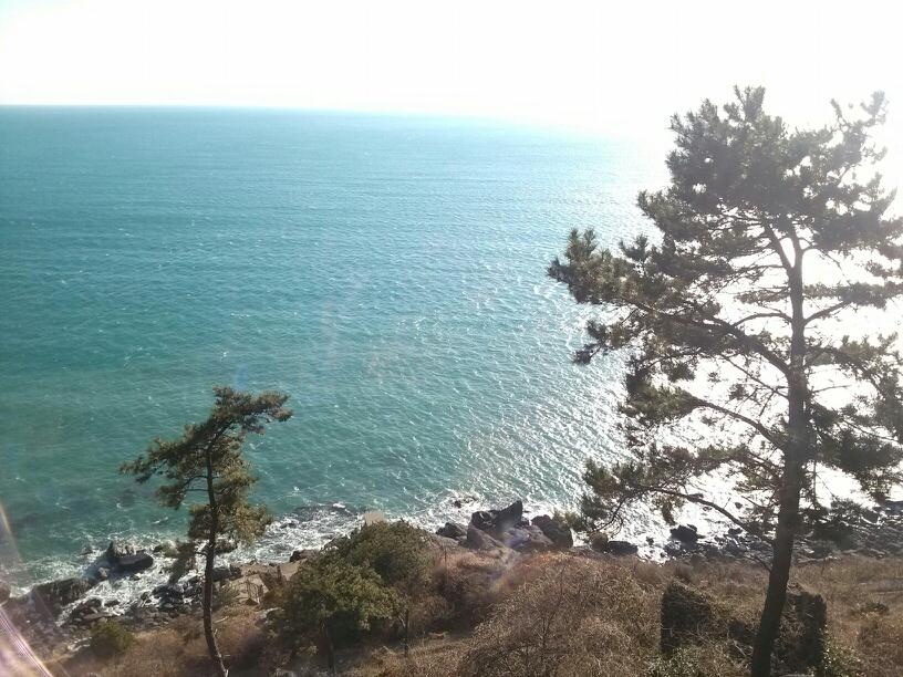< 해운대 달맞이 길 풍경 >