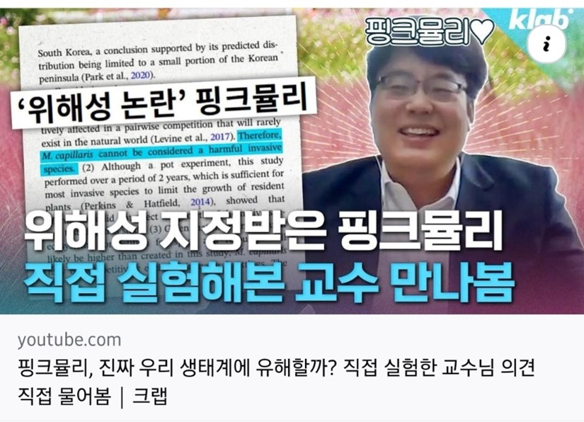 😧핑크뮬리, 진짜 생태계에 유해하대?!의 썸네일 이미지