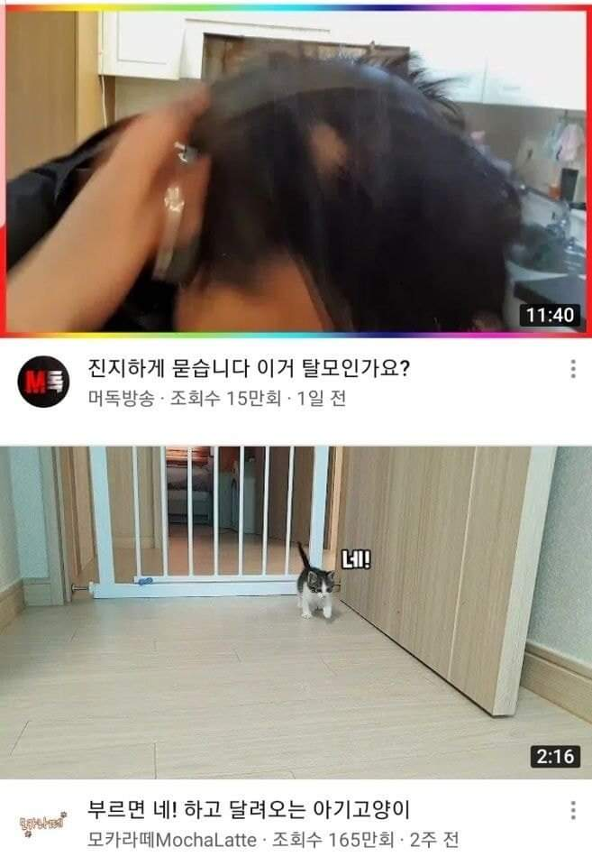 ㅠㅠㅠㅠㅠㅠㅠ