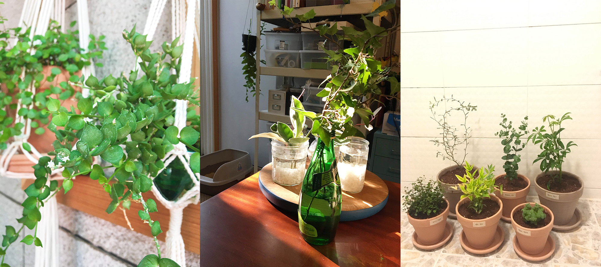 우리들의 행복했던 한 때