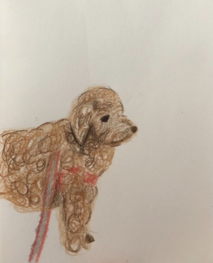 당근마켓에서 누군가 그려준 토리