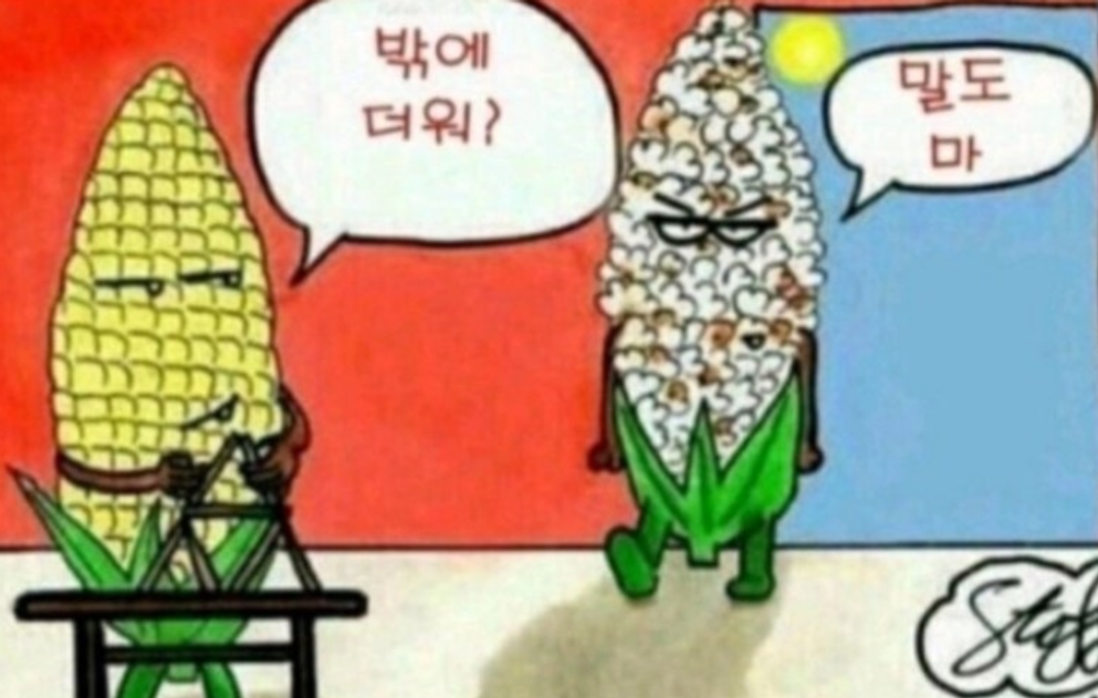 이미지 = 네이버 블로그 캡처 (https://blog.naver.com/whatdo_o/223541771074)