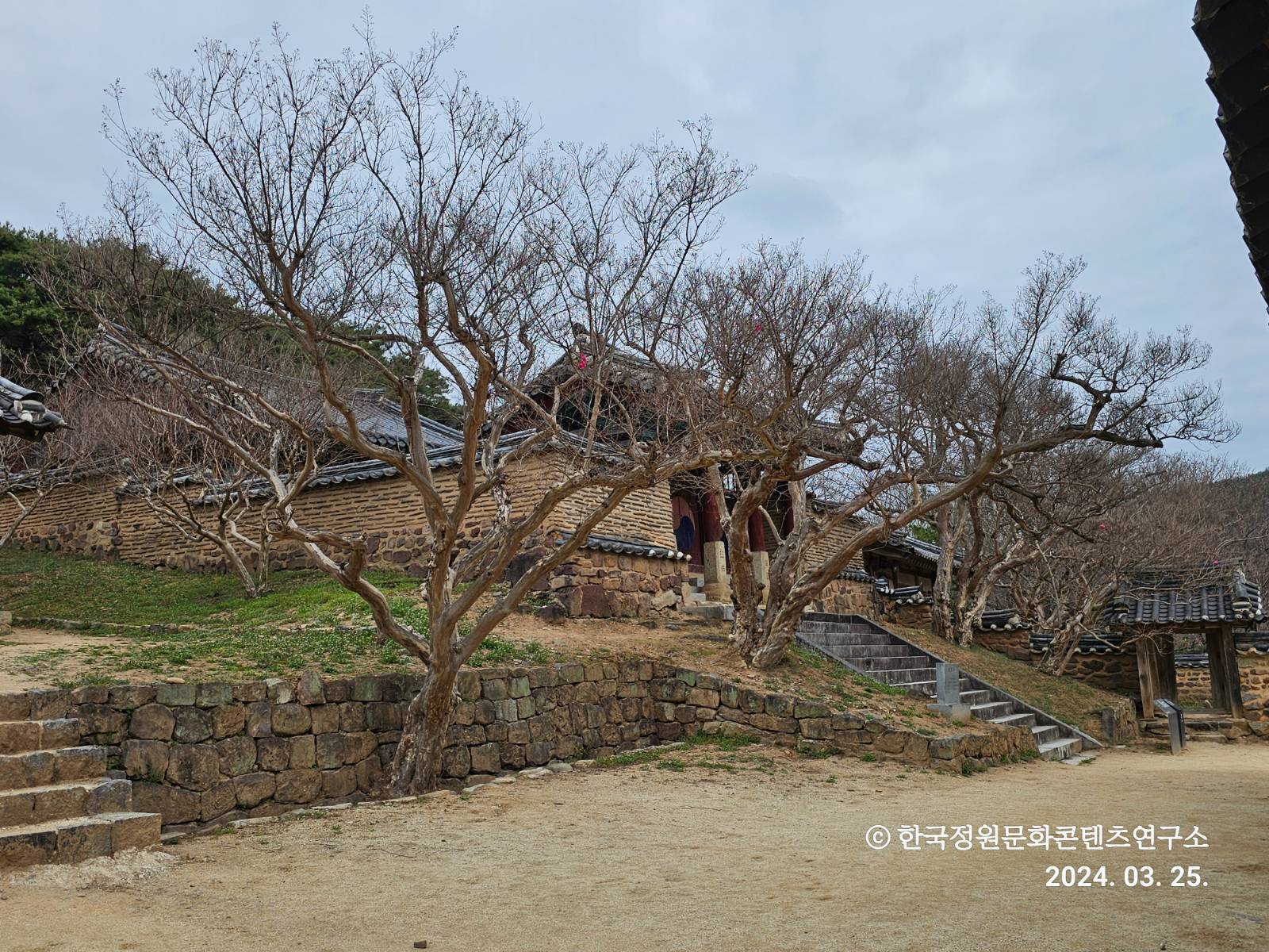 병산서원 입교당에서 장판각 방향의 배롱나무 화계(2024.03.25.)