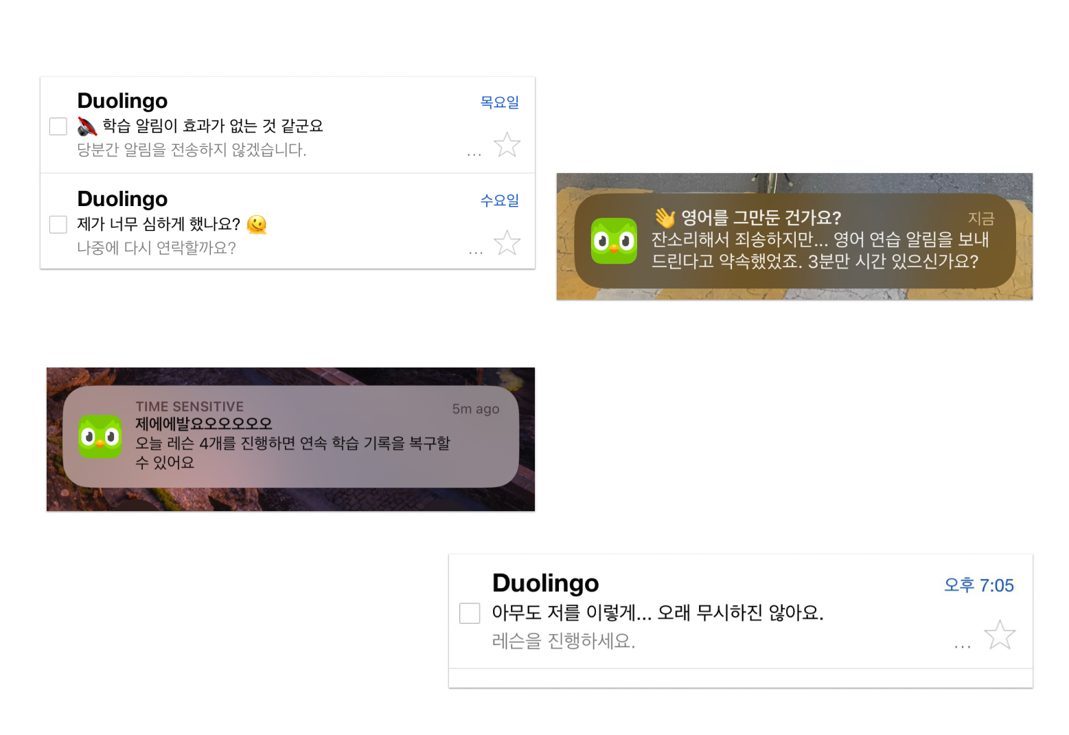 에디터가 받아본 실제 앱 푸쉬 알람