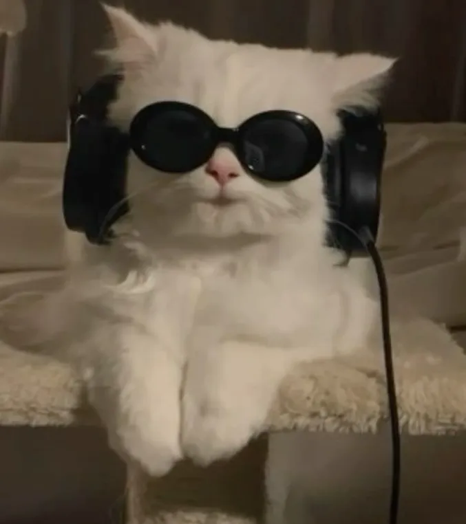 이미지 = 핀터레스트 캡처 (https://kr.pinterest.com/pin/18014467256006920/)