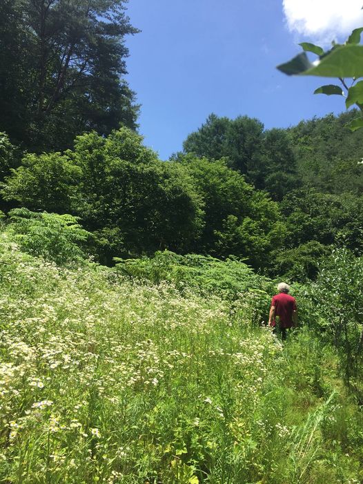 아빠의 정원이 나의 정원이 된 날의 썸네일 이미지