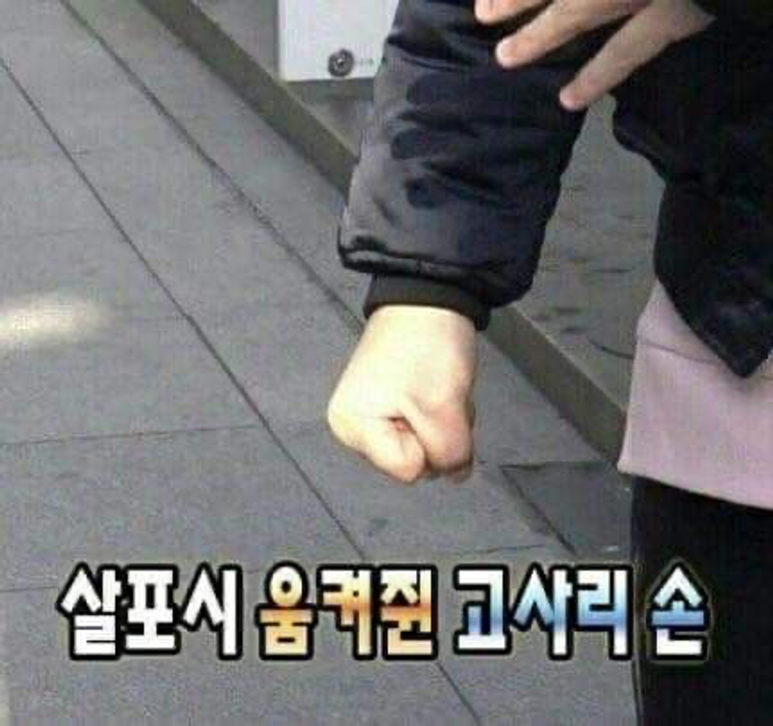 이미지 = 핀터레스트 캡쳐(https://pin.it/1ZjAnchhk)