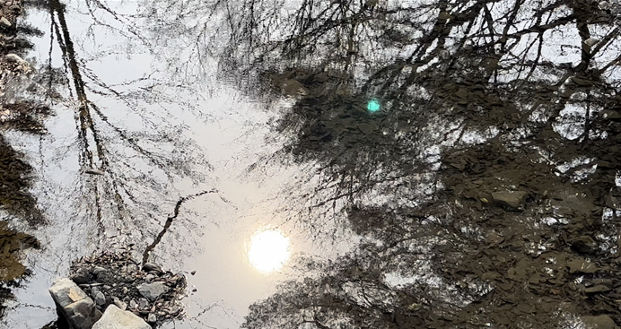 극락교를 건너는 개울에 비친 풍경