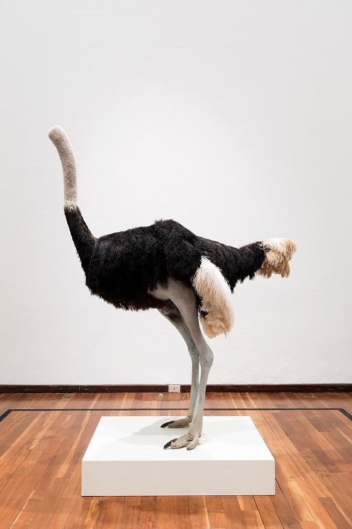 작품명 '오스트리치'출처, Ostrich © David Shrigley, 2009 Courtesy of the artist and the British Council Collection.  Photograph by Stephen White