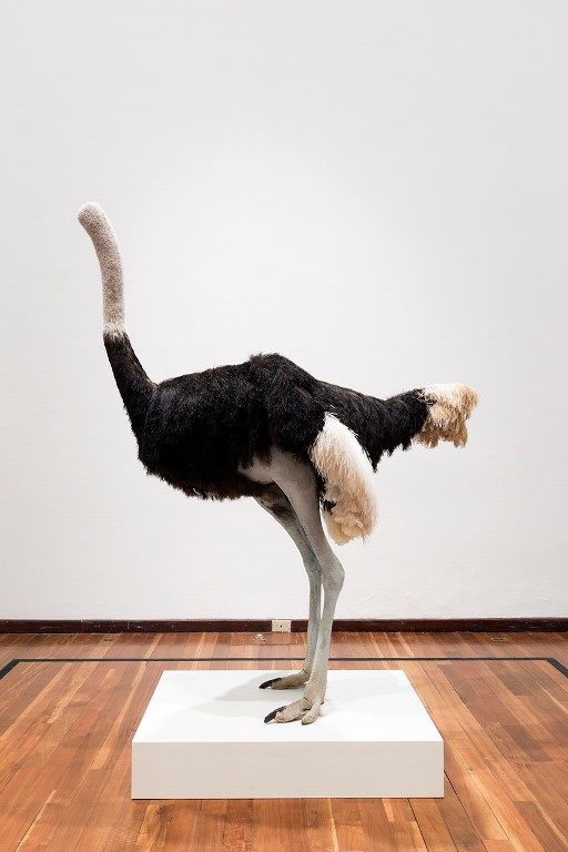 작품명 '오스트리치'<br>출처, Ostrich © David Shrigley, 2009 Courtesy of the artist and the British Council Collection.  Photograph by Stephen White